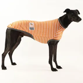 Gumtree Greys Greyhound Sleeveless Hound-Tee