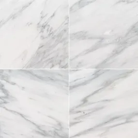 Marble Tile Collection Arabescato Carrara 12"x12" - Polished