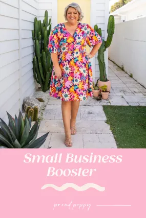 Small Business Booster